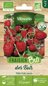 Fraisier des Bois - BIO